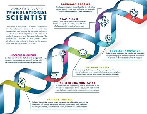 Illustration of a double helix showing how the characteristics of a translational scientist work together. These characteristics include: boundary crosser, team player, process innovator, domain expert, rigorous researcher, skilled communicator, and systems thinker.