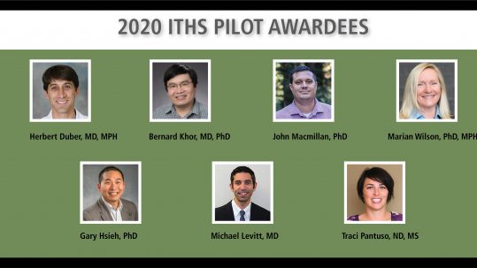 collage of the winners of the 2020 ITHS Pilot Awards