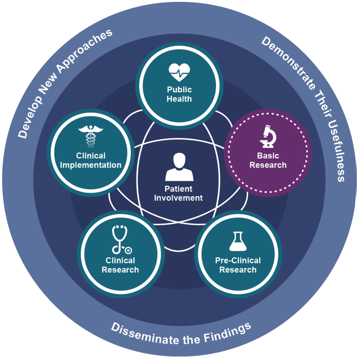 Translational Science Spectrum